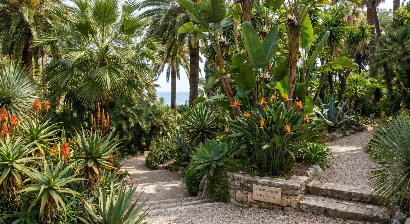 Le quartier de La Petite Afrique à Beaulieu, végétation tropicale exotique